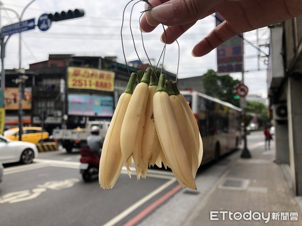 ▲台灣路邊偶爾會碰上，有小販在賣玉蘭花。（示意圖／記者陳詩璧攝）