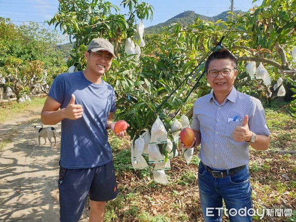 ▲體育系畢業的屏東縣枋山鄉青農潘秋忛，返鄉種愛文芒果（左），右為農糧署南區分署長姚志旺            。（圖／記者陳崑福攝）