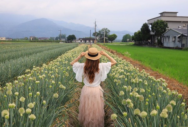 ▲▼三星蔥花田。（圖／宜蘭ㄚ欣的美食日誌授權提供）