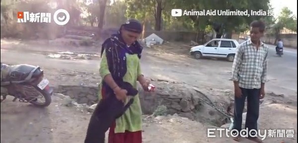 ▲▼卡利開心地回到社區。（圖／即新聞／ FB Animal Aid Unlimited, India授權）