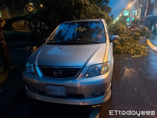 ▲▼宜蘭市農權路宜縣文化中心旁路樹，11日傍晚經不起大雨催殘倒塌，壓毀停放路邊二部自小客車。（圖／記者游芳男翻攝，下同）