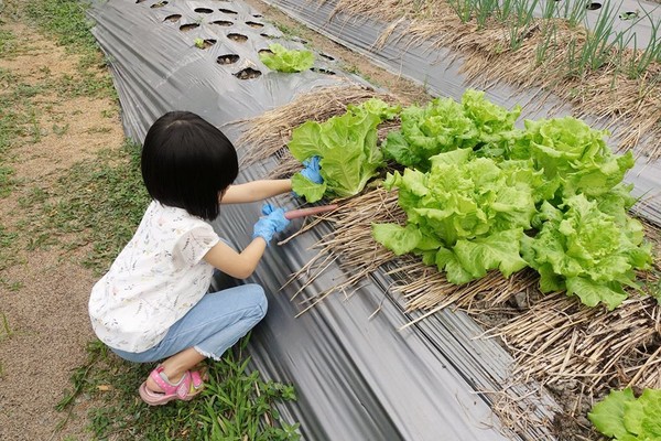 ▲▼宜蘭張美阿嬤農場餵小鹿。（圖／宜蘭ㄚ欣的美食日誌粉絲專頁授權提供）