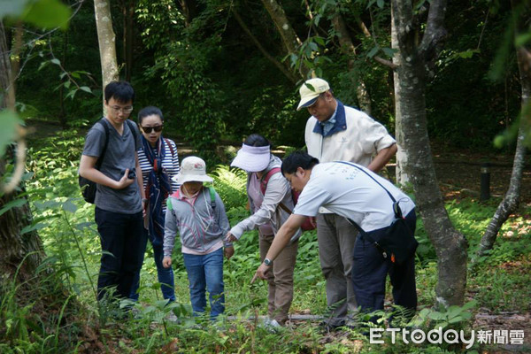 ▲▼南投仁愛奧萬大國家森林遊樂區，「森林中的小傘」菇類研習班，邀請民眾走進森林，感受猶如魔術般的奇妙體驗。（圖／林務局南投林管處提供，下同）