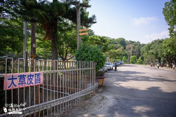 ▲▼櫻花鳥森林。（圖／滿分的旅遊札記提供）