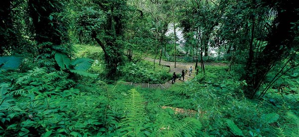 ▲▼有好康！太平山「鳩之澤」520打卡，享露天SPA或裸湯免費體驗。（圖／羅東林管處提供，下同）