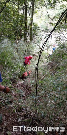 ▲▼ 台北大學女學生仁愛登山，摔倒頭部裂傷、骨折山難，南投縣消防員趕抵救援。（圖／記者張弘昌攝）