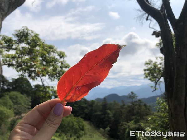 ▲日月潭貓囒山。（圖／記者陳涵茵攝）