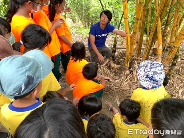 ▲南大附小與台南市七股區大文國小進行校際共學，兩校學童25人體驗採筍及參觀鮮筍處理，並認識竹編與竹炭的應用。（圖／記者林悅攝，下同）