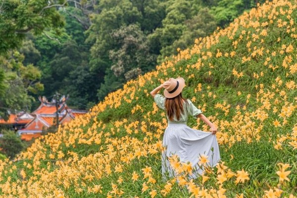 ▲▼彰化花草系景點。（圖／ReadyGo提供）