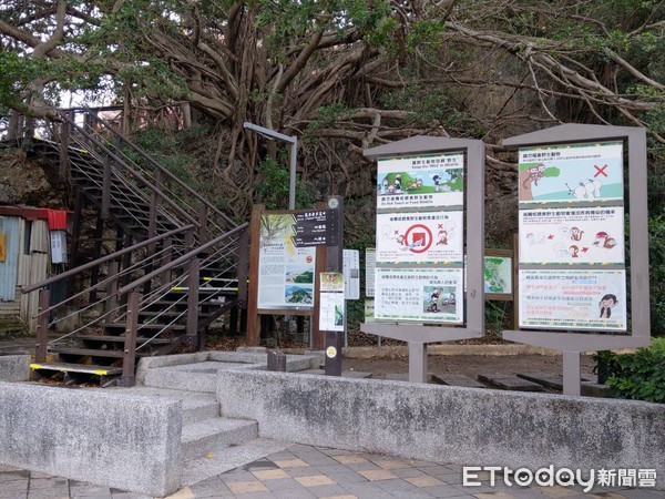 ▲高雄柴山,壽山,柴山登山口,登山步道。（圖／記者許宥孺翻攝）