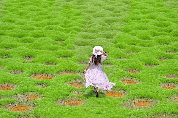 ▲▼嘉義抹茶波波洞草原。（圖／IG@heapin963授權提供，請勿翻攝）