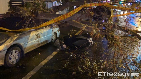  ▲台南市北區延平國中圍牆外人行步道路樹發生倒塌，壓損路旁停放車輛並導致蔡姓女騎士意外身亡遺憾事故。（圖／記者林悅攝）