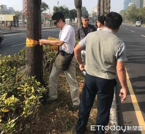 ▲台南市工務局為維護行道樹美觀、健康的生長，也為確保用路人行車安全，針對全市112條重要道路，每月皆會派員定期巡查檢護。（圖／記者林悅翻攝，下同）