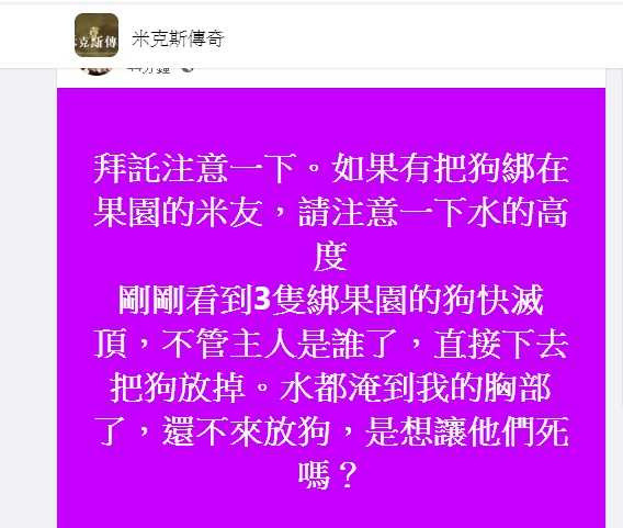 有網友發現3隻狗兒被綁在果園外幾乎滅頂，立刻上前救援。（圖／翻攝畫面）