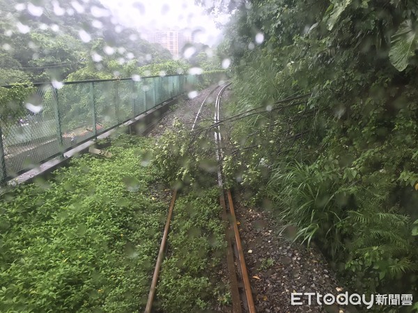 ▲ 海科館=八斗子站間路樹倒塌橫躺鐵軌　台鐵深澳支線列車皆停駛。（圖／記者郭世賢翻攝）