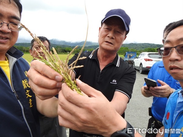 ▲▼台東縣政府農業處長許家豪與台東縣議員黃瑞華、楊清順及關山鎮長戴文達前往關山實地勘查，聽取農民心聲。（圖／台東縣政府提供，下同）