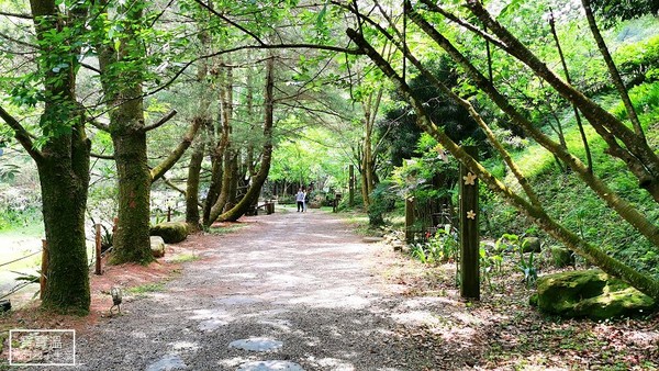 ▲▼山那邊．綠葉方舟。（圖／寶寶溫旅行親子生活提供）