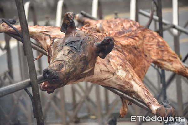 ▲▼為培養原住民族一技之長，延續傳統美食特色，南投縣府首創「原住民烤豬職人培訓」課程。（圖／南投原民局提供，下同）