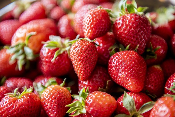 ▲草莓。（圖／取自免費圖庫Pixabay）