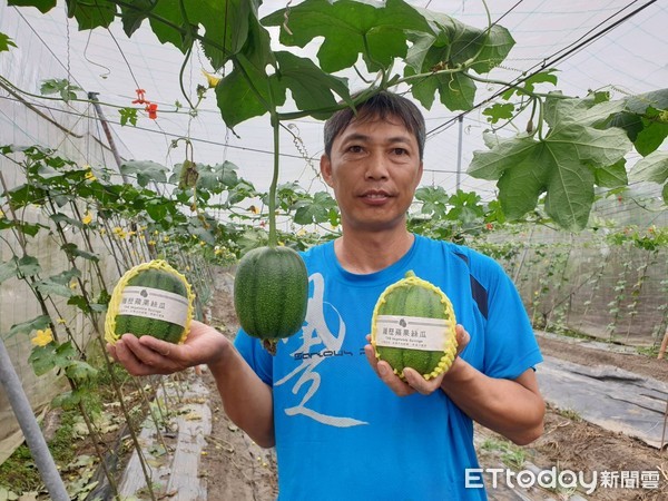 ▲屏東縣里港鄉農友李文彥生產了蘋果絲瓜。        （圖／記者陳崑福翻攝）