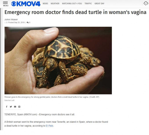 26歲女派對結束下體痛爆　醫師竟從陰道取出「烏龜」。（圖／AP、KMOV4）