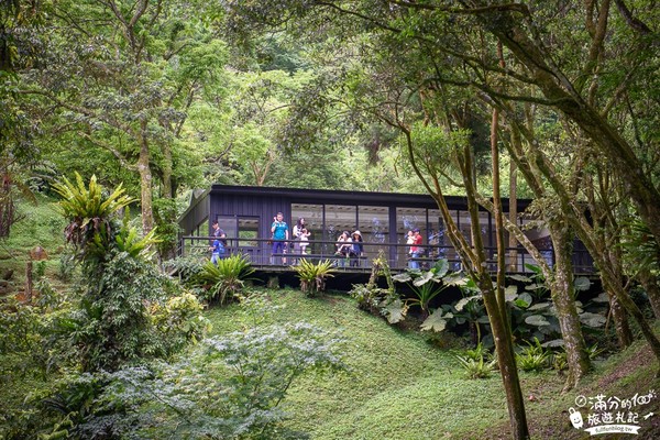 ▲▼熊空茶園。（圖／滿分的旅遊札記提供）