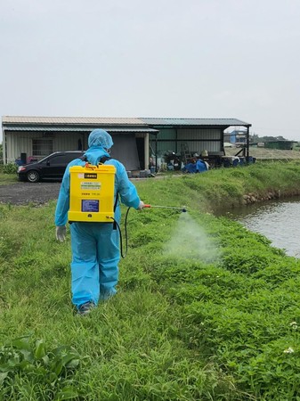 ▲連日暴雨高溫！70萬隻白蝦「集體暴斃」　引野鳥啄浮屍。（圖／新北動保處提供）