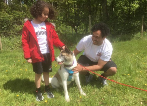 ▲▼愛犬走失1年心碎找不回！　 飼主要「領養下一隻狗」奇蹟重逢。（圖／翻攝自Skylors Animal Rescue）