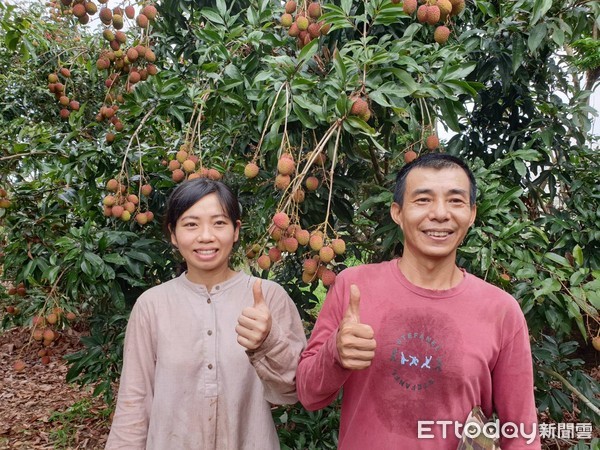 ▲屏東縣高樹鄉農友邱上泰與越南籍太太周錦秀協力種出高品質玉荷包 。（圖／記者陳崑福翻攝）