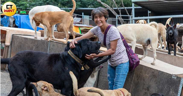 40歲之前只是平凡家庭主婦的簡媽媽，經營狗園長達20年，目前有600條毛孩陪伴著她。（圖／張文玠攝）