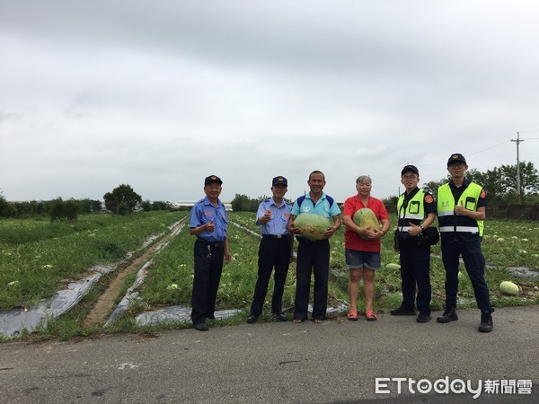 ▲竹南警分局成立「護瓜專案」，防範瓜農辛苦種植的西瓜遭人盜竊。（圖／記者黃孟珍翻攝）