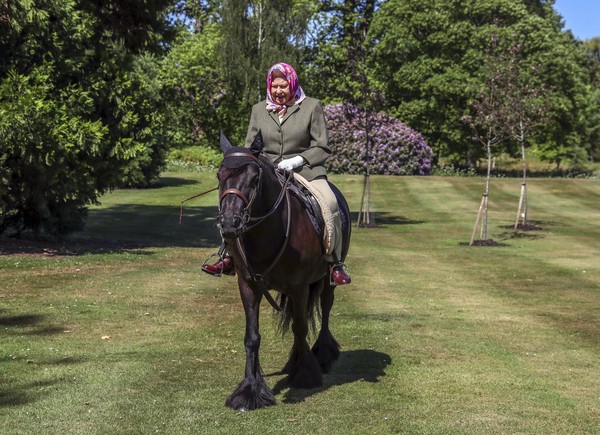 ▲英國女王伊莉莎白二世（Queen Elizabeth II）在草地上騎馬。（圖／翻攝自twitter／The Royal Family）