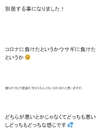 小林 瀧上 小林礼奈のヤバい言動まとめ集！育児放棄級の絶望子供ご飯にドン引きネット民続出！