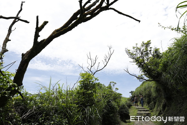 ▲▼世界首座國際都會寧靜公園授證記者會。（圖／記者湯興漢攝）