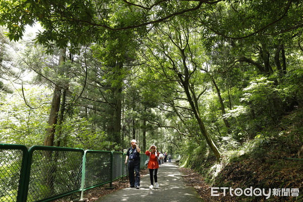 ▲▼世界首座國際都會寧靜公園授證記者會。（圖／記者湯興漢攝）