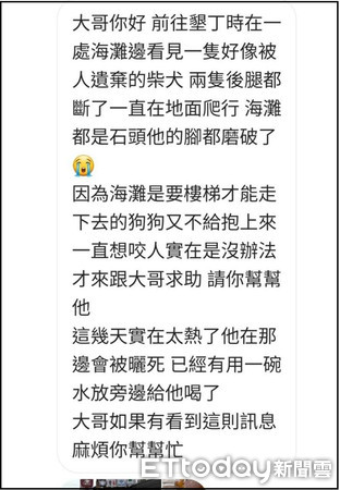 ▲▼柴犬遭棄墾丁路邊車禍斷腿！　「後腳磨出血」大哭想找回家的路。（圖／徐文良（徐園長護生園）粉專授權提供）