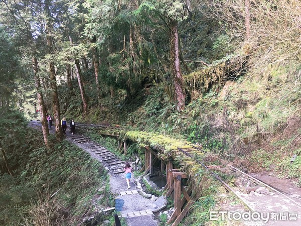 ▲宜蘭見晴古道。（圖／記者陳涵茵攝）