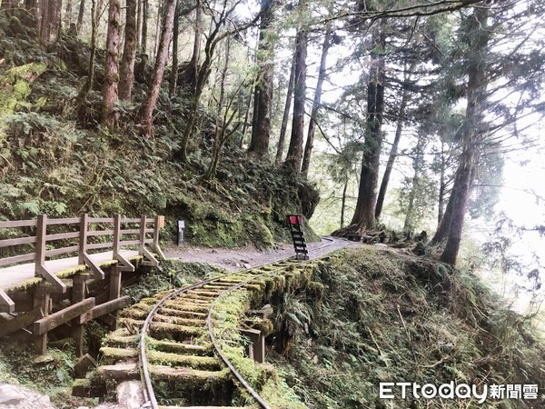 ▲宜蘭見晴古道。（圖／記者陳涵茵攝）