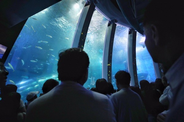 ▲桃園青埔八景島水族館Xpark8月開幕。（圖／市府資料照）