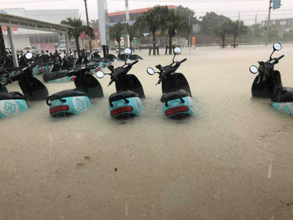 石垣島昨下大雨，大批Gogoro2成泡水車。（圖／翻自石垣島租車- GO SHARE粉絲團）