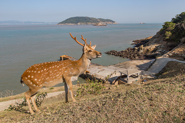 ▲大坵島,臺灣國際熱氣球嘉年華。（圖／易飛網提供）