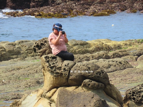 ▲ 基隆大坪海岸拍照「海豹岩」大媽上身 二隻剩一隻「母湯」擱再傷害它。（圖／陳信助授權提供）