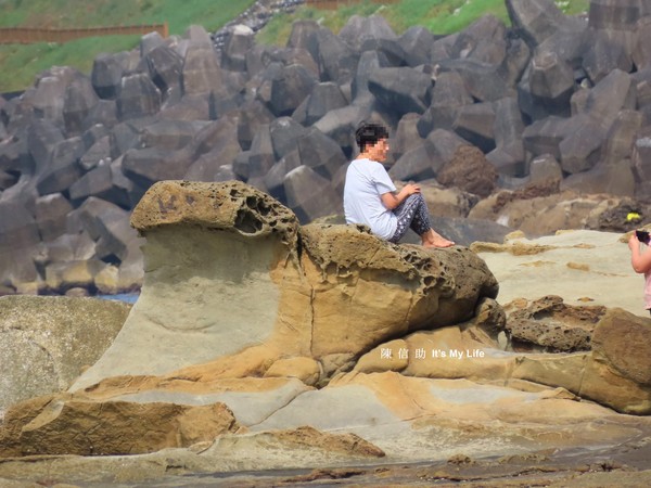 ▲ 基隆大坪海岸拍照「海豹岩」大媽上身 二隻剩一隻「母湯」擱再傷害它。（圖／陳信助授權提供）