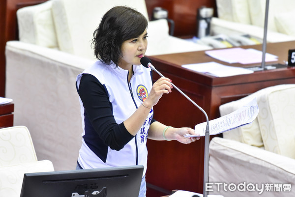 ▲▼台北市議會市政總質詢,台北市議員王欣儀。（圖／記者李毓康攝）