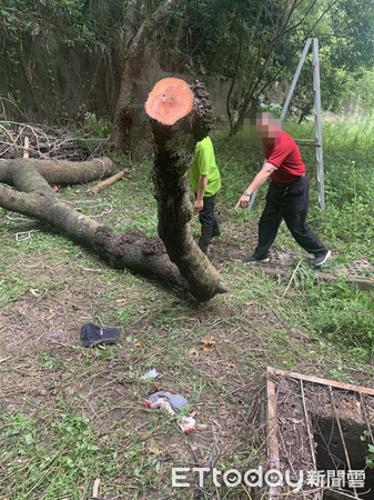 ▲台南白河區關嶺里水火洞國立敎育廣播電台，發生一起鋸樹壓傷人意外，40歲陳姓員工，整理園區鋸樹時，不慎被傾倒的樹木壓傷，送醫急救仍傷重不治身亡。（圖／記者林悅翻攝，下同）