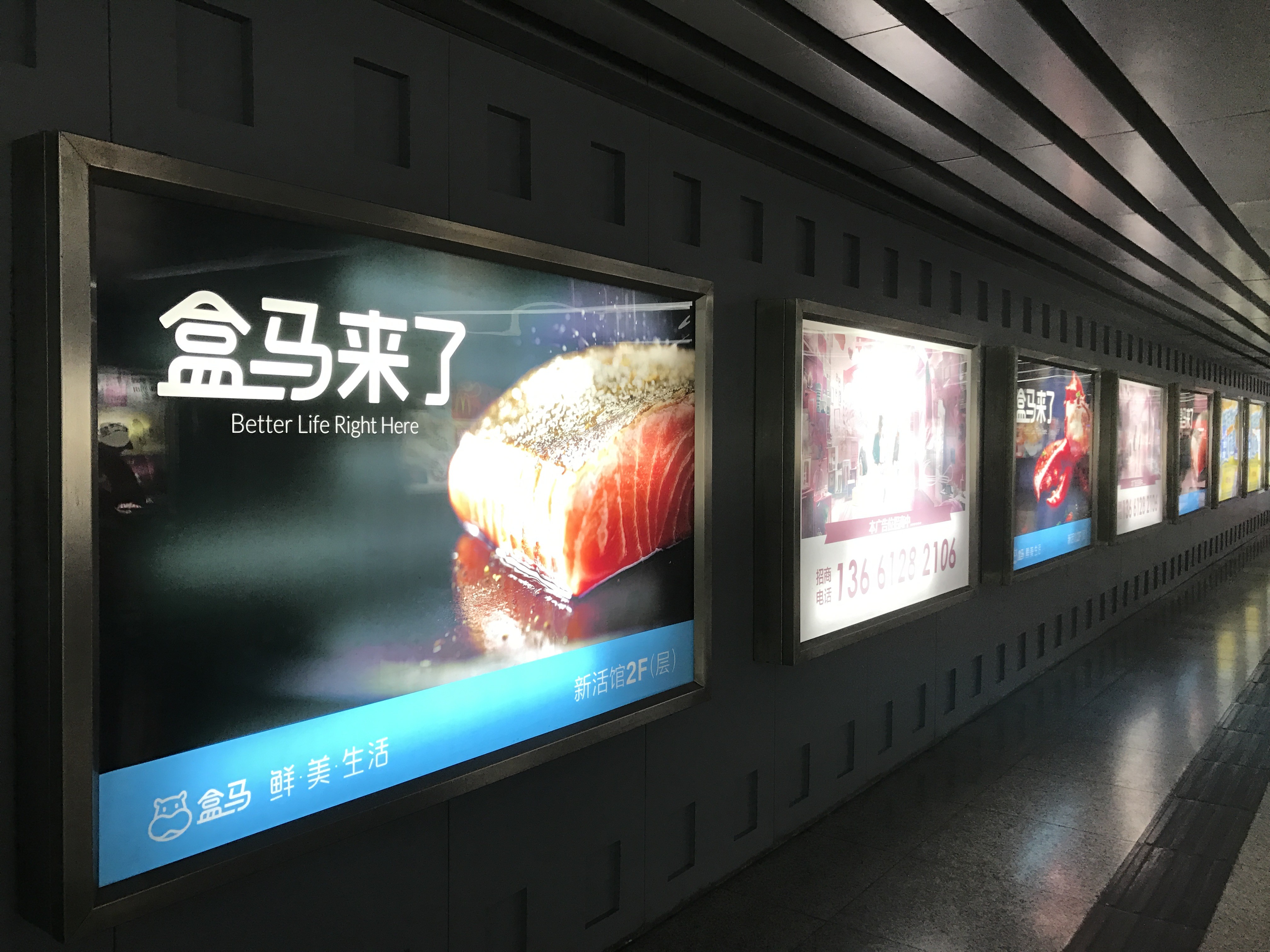 鮭魚北京洗白成功 陸媒 上架指日可待 Ettoday大陸新聞 Ettoday新聞雲