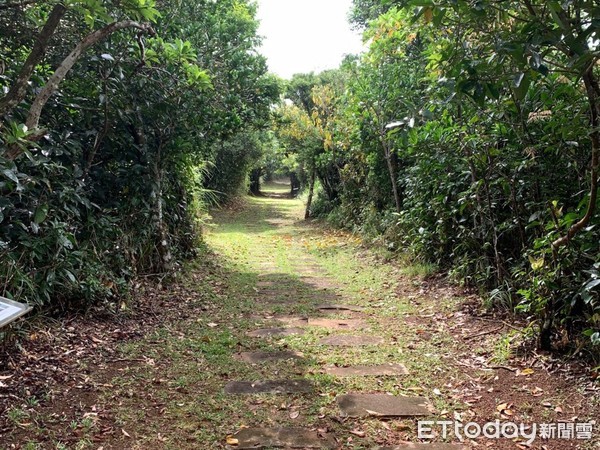 ▲早期沒有環島公路的年代，貫穿綠島就是靠這條「過山古道」。（圖／東管處提供，下同）