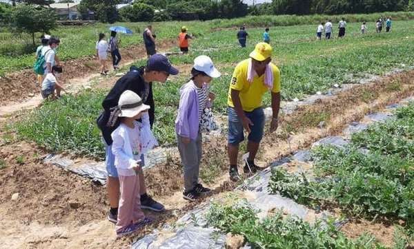 ▲大手牽小手，來去跟西瓜施肥。（圖／溪海休閒農業發展協會提供）