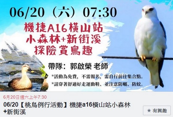 ▲桃園野鳥學會6/ 20舉辦「探險賞鳥趣」。（圖／翻攝自桃園野鳥學會臉書）