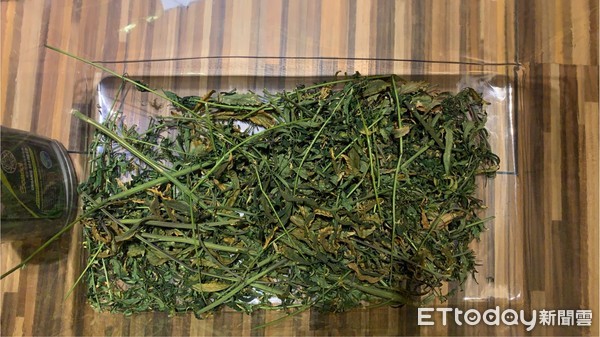 ▲▼警方在豪宅內起獲大批大麻成品、半成品，訊後依毒品罪移送法辦             。（圖／記者陳以昇翻攝）